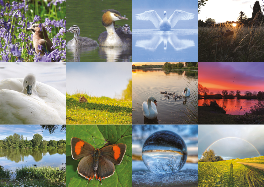 Country Parks Calendar 2025 MONTAGE