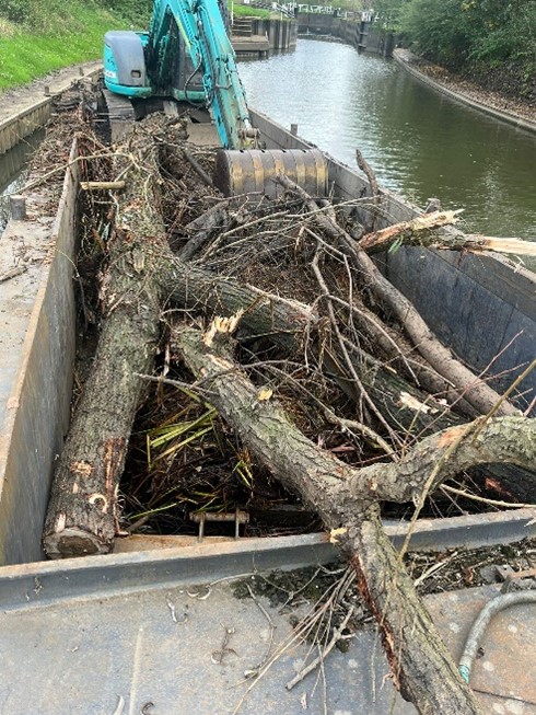 Closer image of the tree debris collecting at the bottom of the bridge