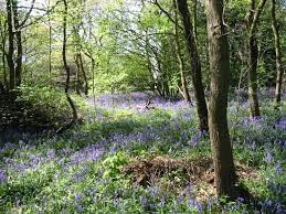 Warwickshire Country Park accredited for ‘Learning Outside the Classroom’