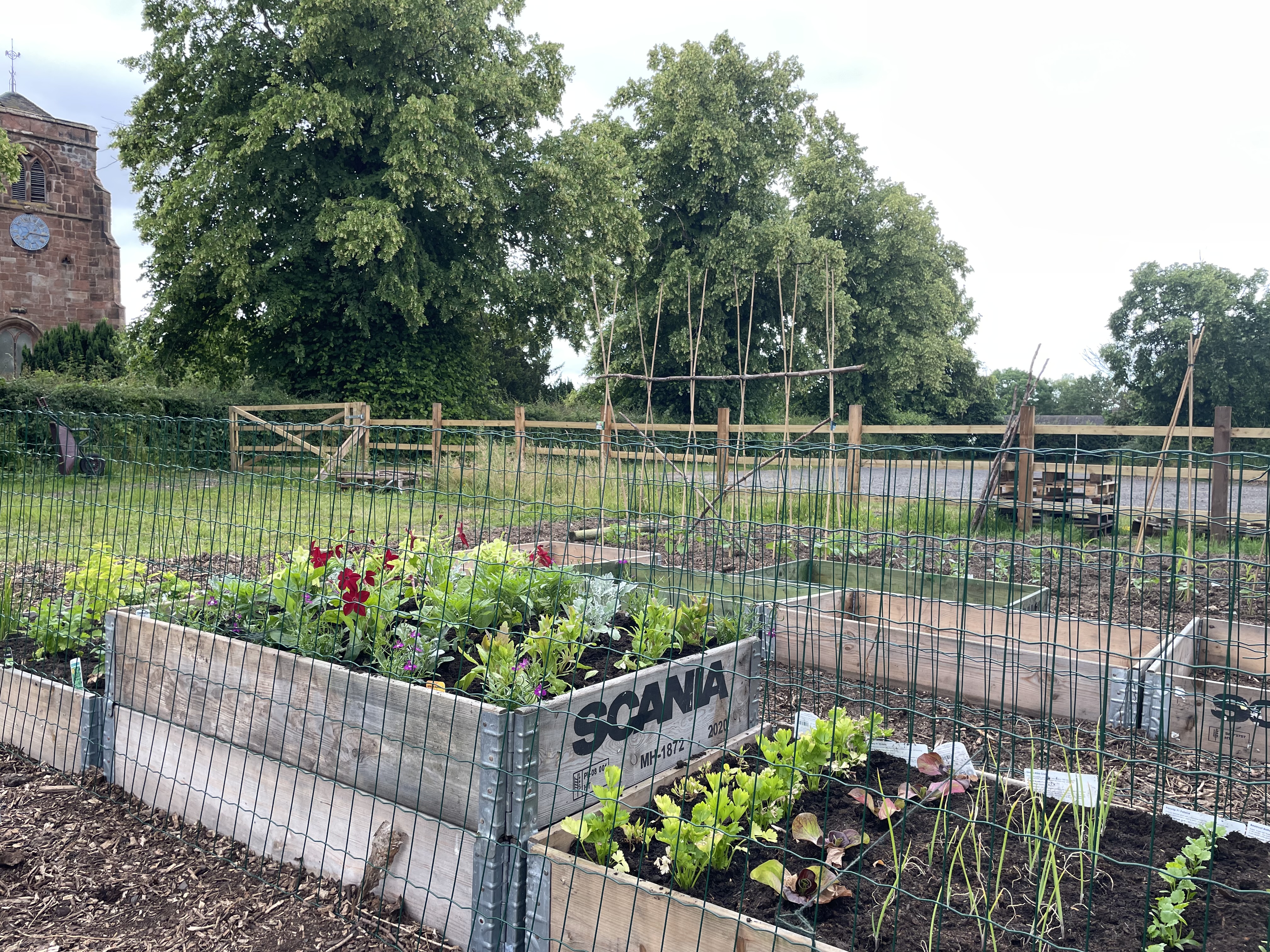 The Edible Garden