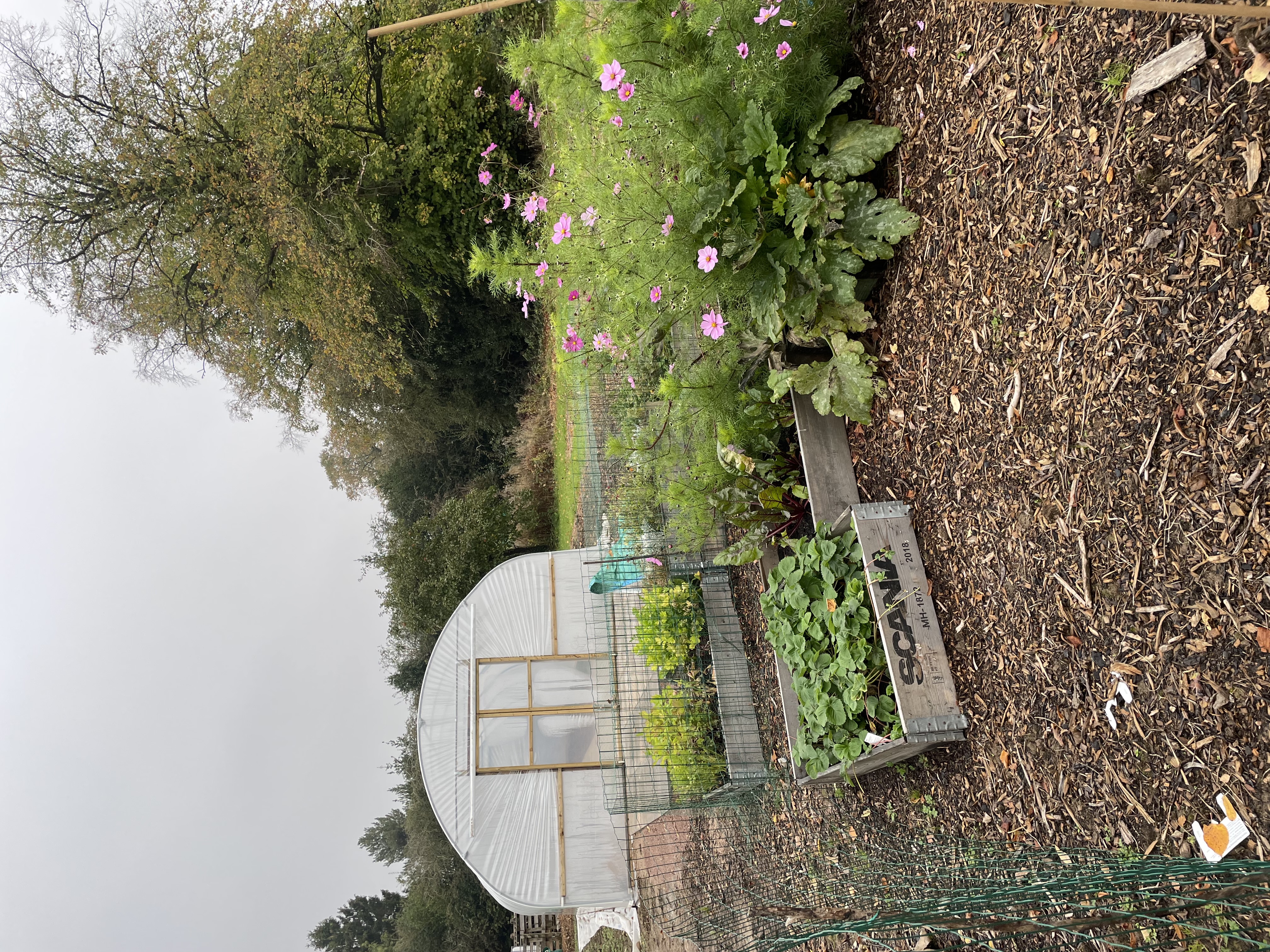 The Edible Garden