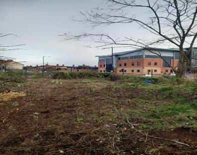 An image of the cleared scrubland on Wheat Street